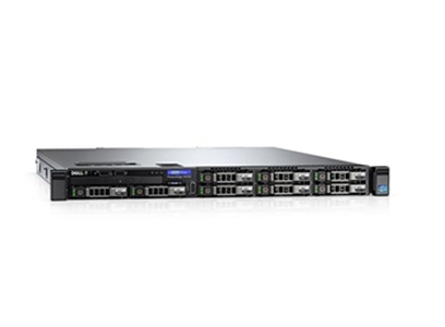 Dell Enterprise Servidor Dell PowerEdge R440