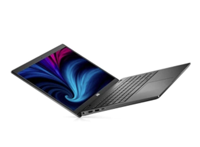 Portátil - Dell Latitude 3000