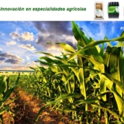 cosmocel....